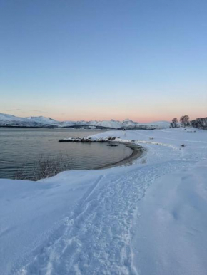 Koselig leilighet med havutsikt
